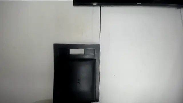 Fox_Loves webcam