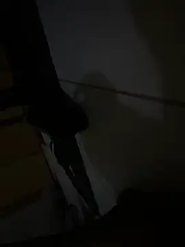 CROCKETDICK webcam