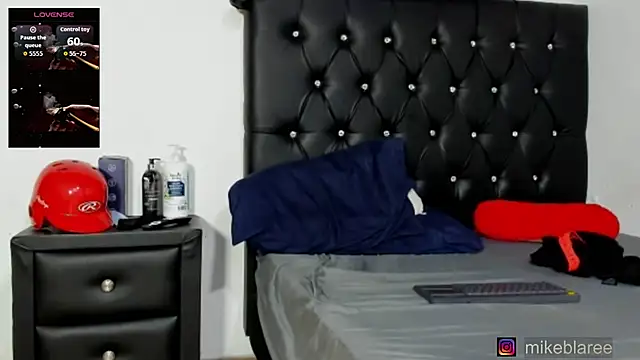 mikeblaree webcam