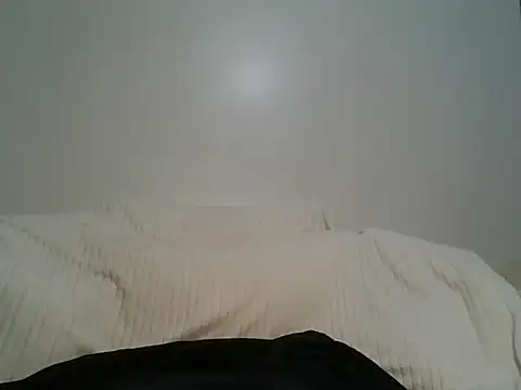 portia501 webcam