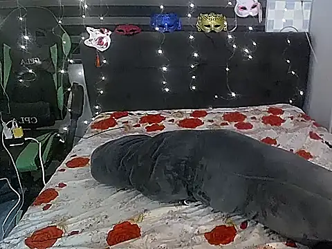 BigCockEricaTs69 live cam on StripChat