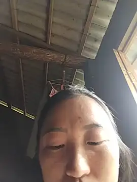 zhen-zo webcam