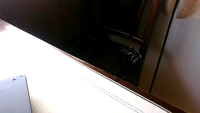 troublemadedouble webcam