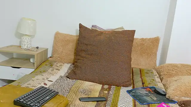 irisconde webcam