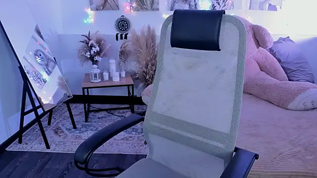 VirtuallVoyant webcam
