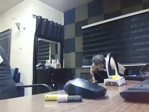 Arabeyes webcam