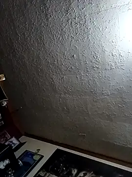 Jc21489 webcam