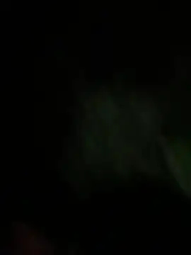 bunny_bicht live sex cam