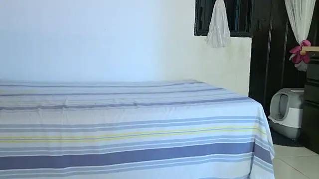 eva_sin18 webcam