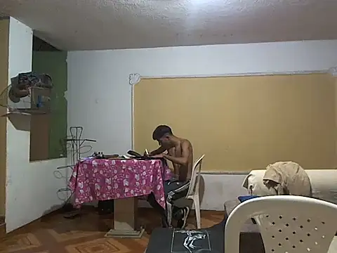 CowboyArt3 webcam