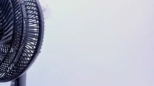 Sharon_Adamss webcam