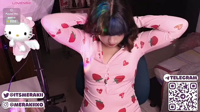meraki_fraise webcam