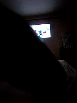 pumapatri webcam