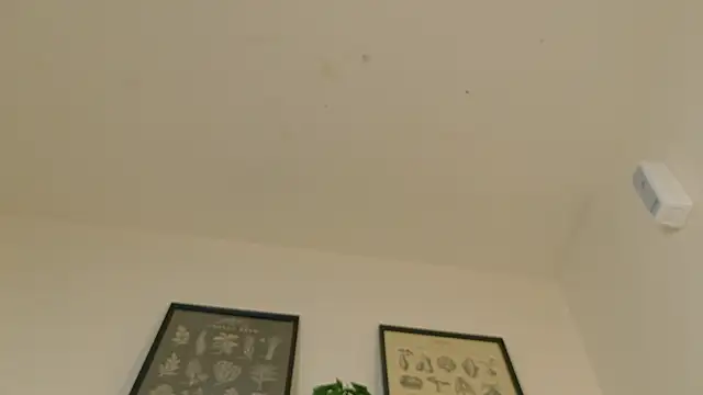 RiriiBrunette__ webcam