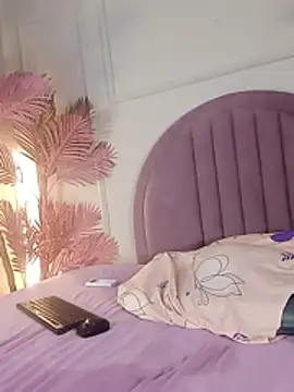 Nalapalmer webcam