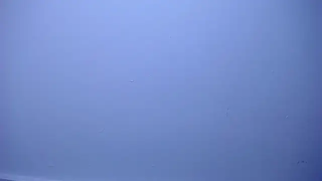 OliverMorgan66 webcam