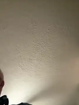 superbearboss webcam