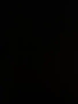 bergmanamii webcam