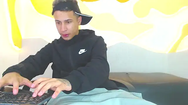 Hollmanhot webcam