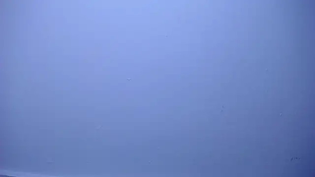 OliverMorgan66 webcam