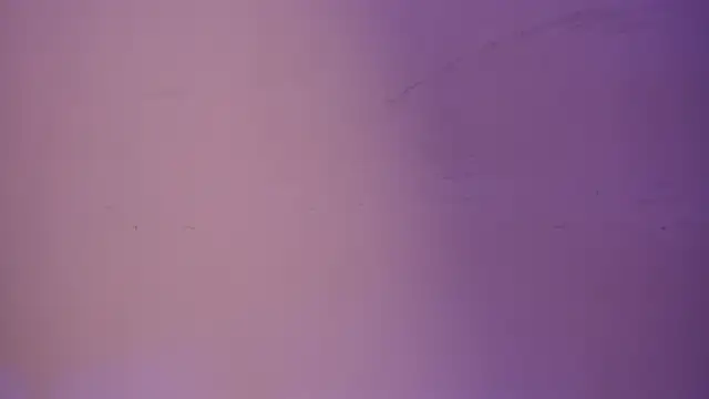 NicoleMonet1 webcam