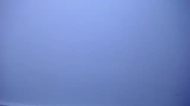 OliverMorgan66 webcam
