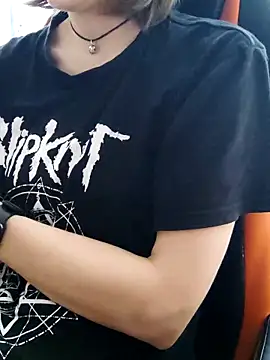 Aashikalaa webcam