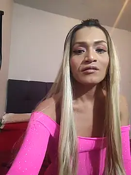 Dehtrans webcam