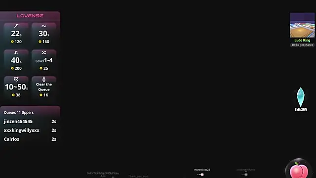 vane_latin18 webcam