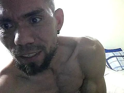 thomas2wood webcam