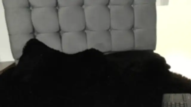 foxxy_angell webcam