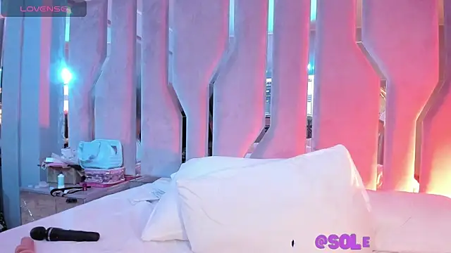 SOOLSTOONE webcam
