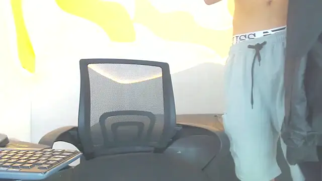 Hollmanhot webcam