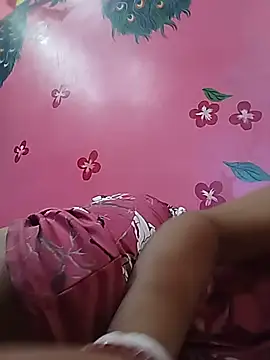 Simupaul001 webcam