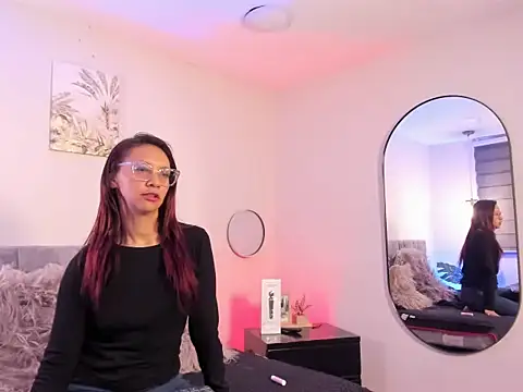 Ayne_soft_ webcam