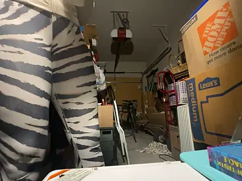 wynterheat webcam