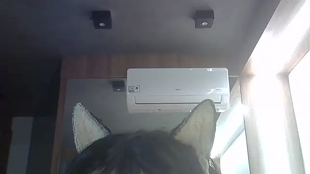 SkinnyKitten webcam