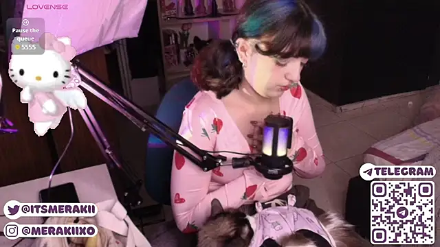 meraki_fraise webcam