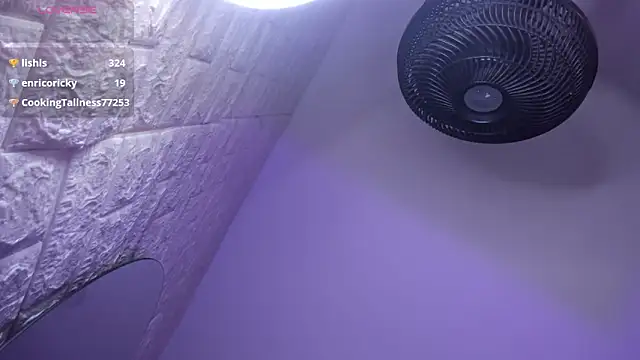 Hilarin__ webcam