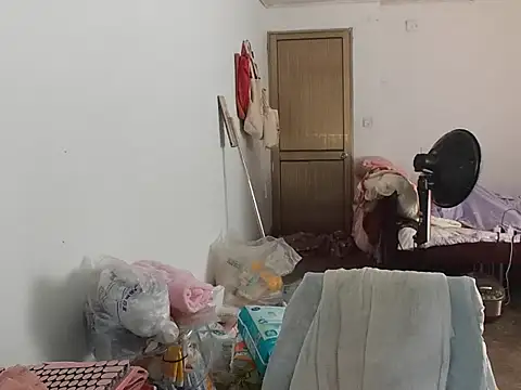 RebelAura webcam