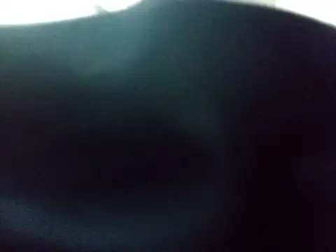 Lilibhet webcam