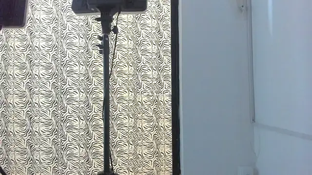 Bruno_fox webcam