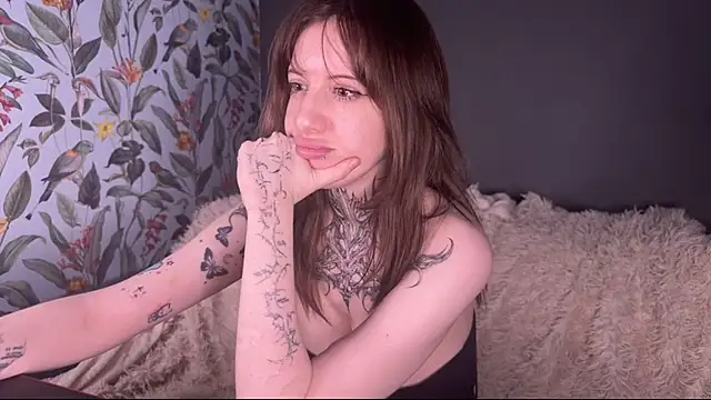 moundliicht1 webcam