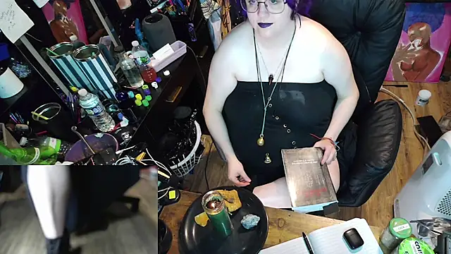 Sinstresshemlock webcam