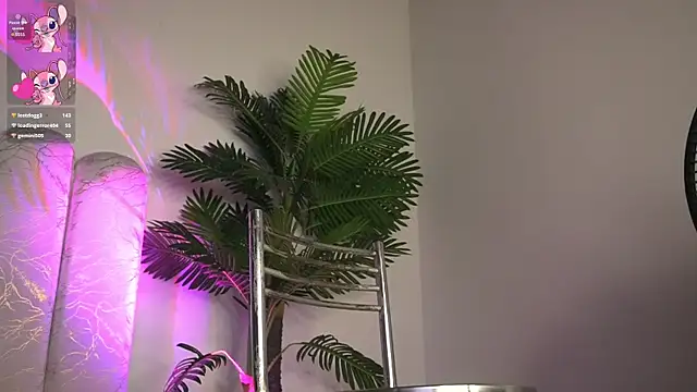 Noaah_0814 webcam