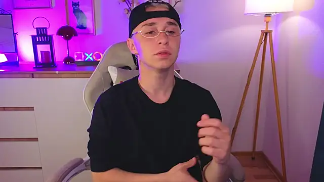 e1v1s webcam