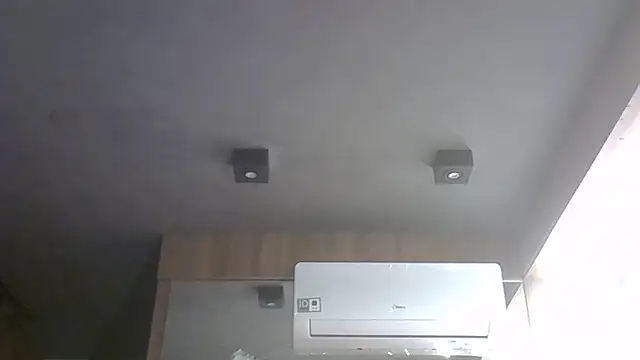 SkinnyKitten webcam