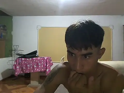 CowboyArt3 webcam