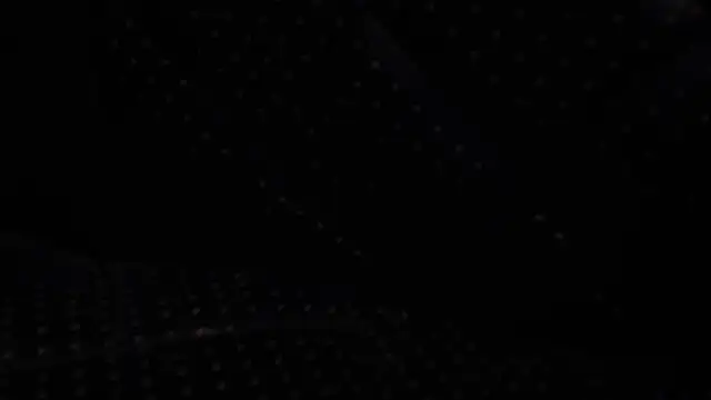 flexingplexico webcam