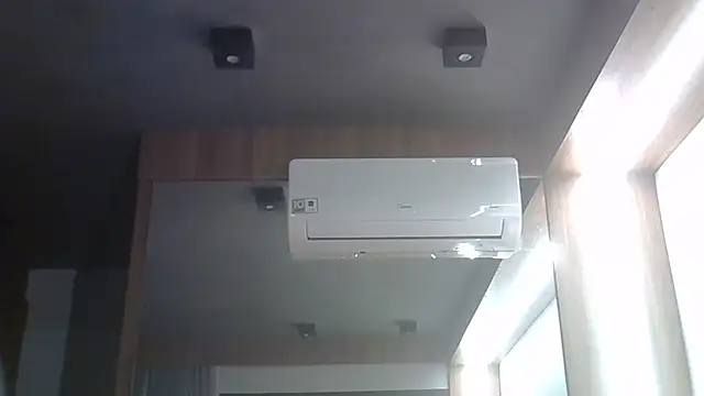 SkinnyKitten webcam